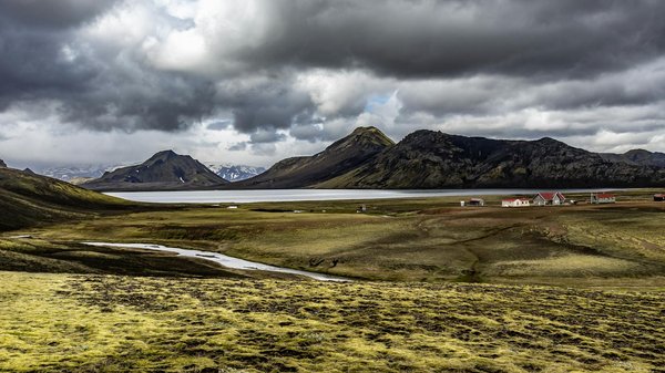 Comment les animaux de compagnie peuvent-ils améliorer votre bien-être émotionnel ?