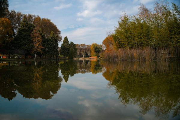 Quelles sont les implications de l'utilisation des réseaux sociaux dans la promotion de la santé ?